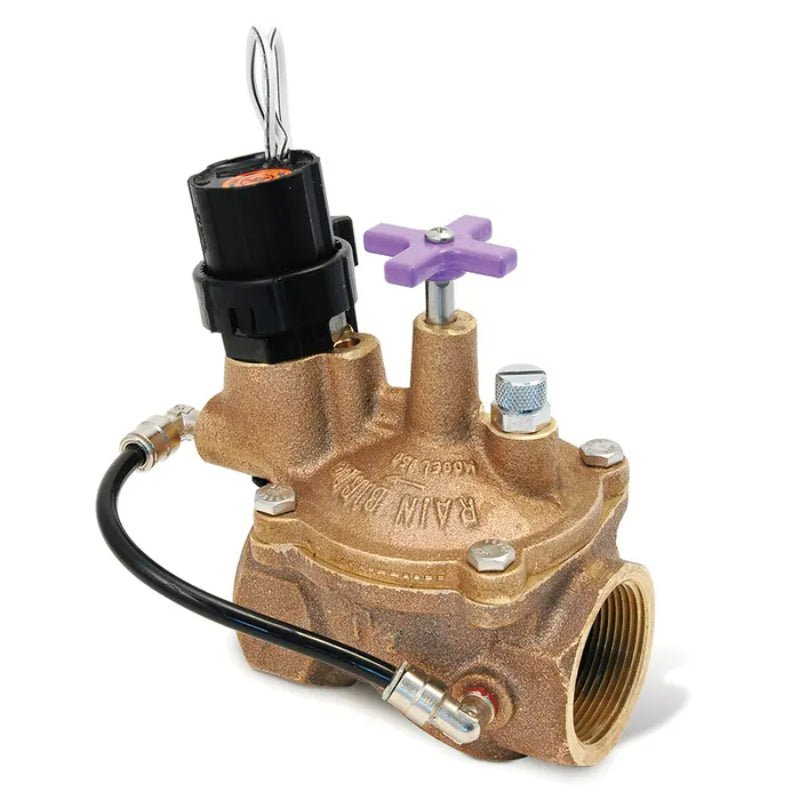 Smart Sprinkler Genius-Rain Bird 100EFBCP - 1 in. Brass Irrigation Valve | B32553-Rain Bird-B32553-