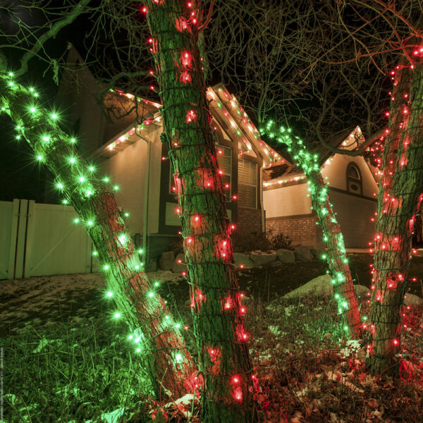 70 LED Count 24 ft. Green Color Holiday Christmas Outdoor String Lights (5MM) - Image 4